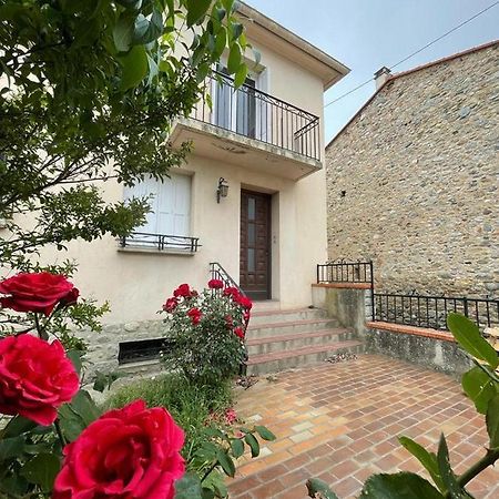 Lg Rite Appartement Avec Jardin Prades  Eksteriør billede